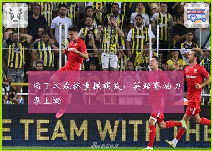 诺丁汉森林重振旗鼓，英超赛场力争上游